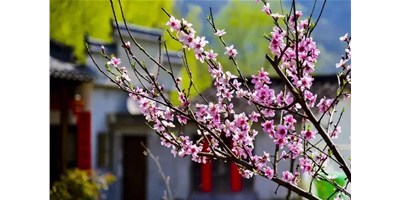 阳春三月，鼎点娱乐一大波展会即将来袭，您准备好了吗？