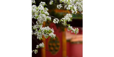【展会资讯】鼎点娱乐5月展会一览，等您来参观！